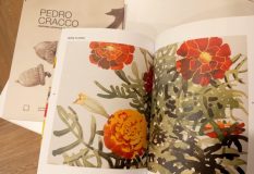 WhatsApp-Image-2024-08-23-at-5.54.09-PM-768x528