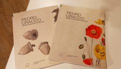 WhatsApp-Image-2024-08-23-at-5.56.30-PM-768x440