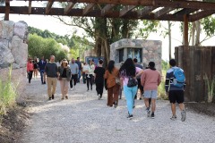 nueva-carrara-general-2
