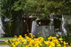 WhatsApp-Image-2025-12-04-at-12.37.39-PM-1