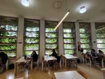 Recorridos-urbanos-y-obras-abiertas-13