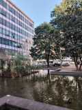 IMG-20250909-WA0035