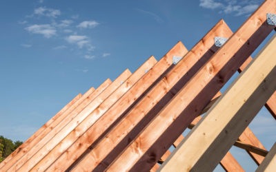 Fundamentos del Diseño y la Construcción en Madera