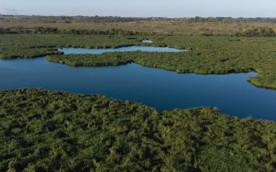 SAU envió una carta a la Junta Departamental por propuesta en Bañado de Carrasco