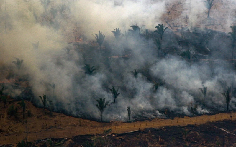 Incendio en la Amazonia | Comunicado FPAA