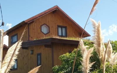 Jueves 8: conversatorio sobre bioconstrucción y sustentabilidad