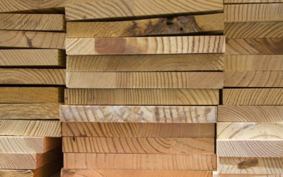 Fundamentos del diseño y de la construcción en madera