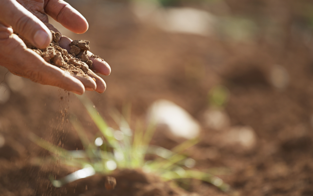 WEBINAR: Conciencia Ambiental
