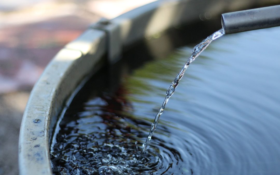 El Arq. Gerardo Rodríguez nos cuenta sobre su curso Gestión del Agua