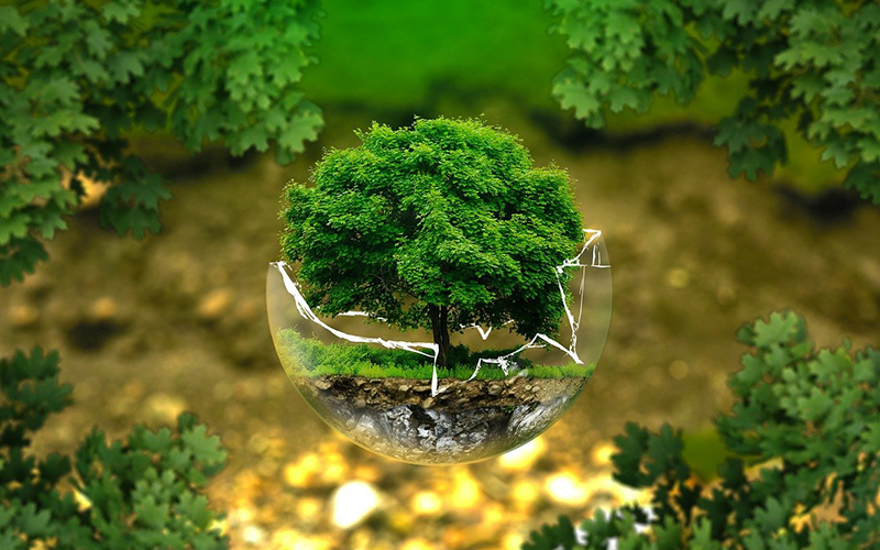 Comisión Asesora de Ambiente
