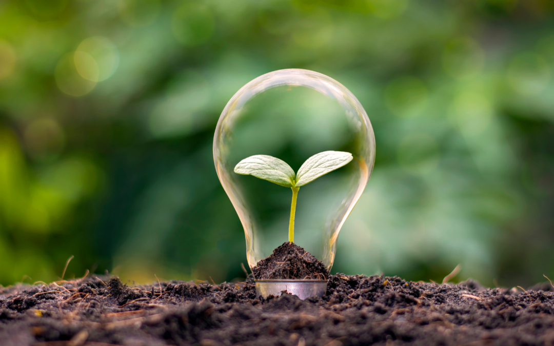 Conciencia Ambiental: Última charla del ciclo 2022