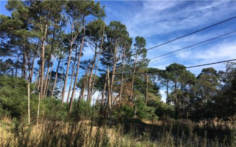 El paisaje de la costa de Canelones