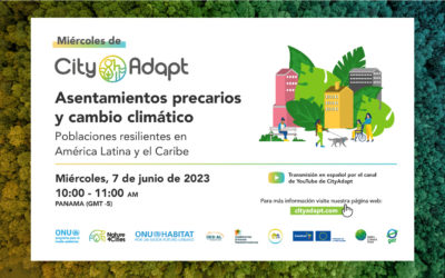 Webinar sobre asentamientos y cambio climático